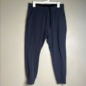Public Rec Joggers Men's Navy Pants 32/30